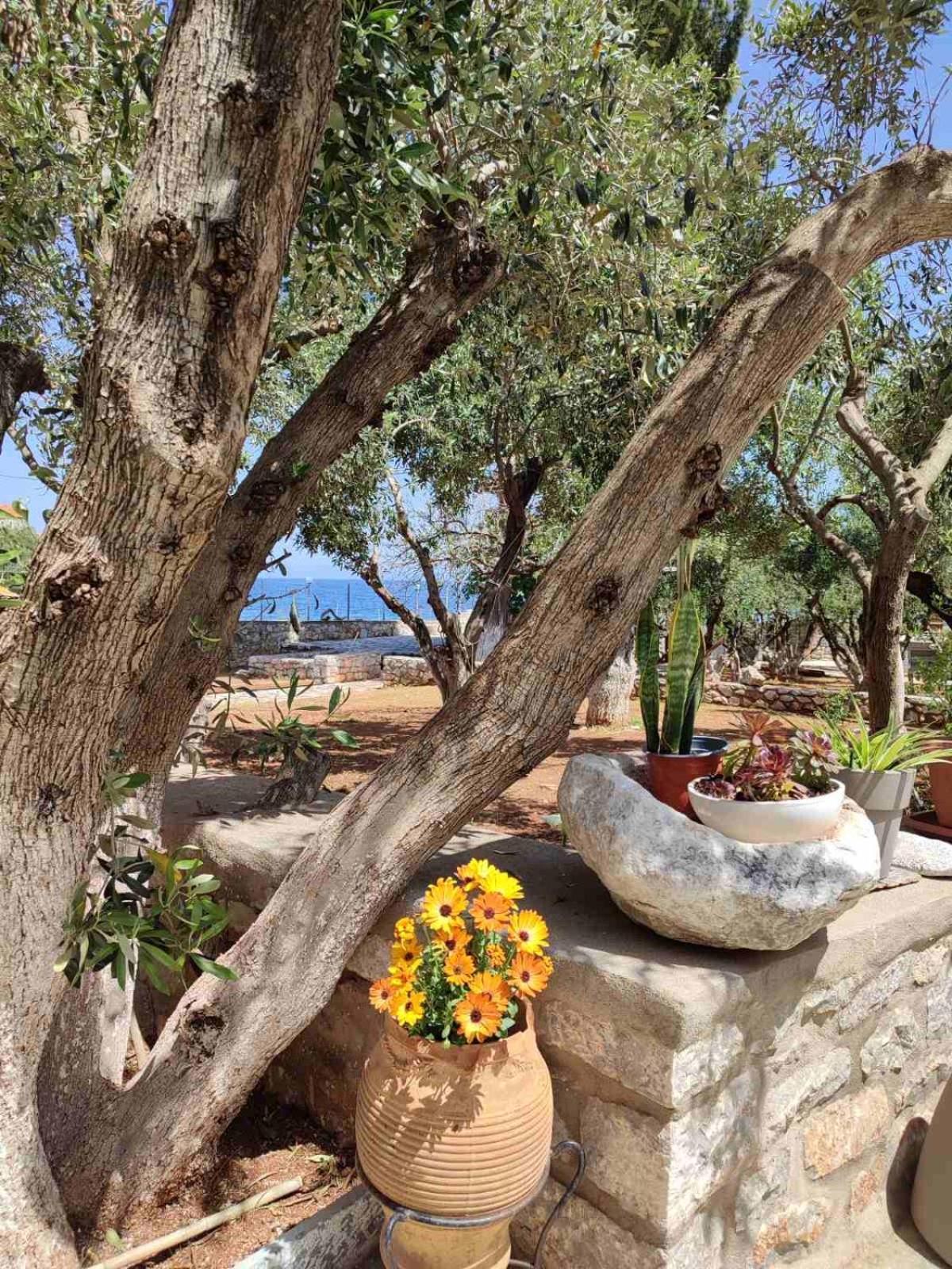 Hotel Ktima Zaxarias Kokkala Exteriér fotografie